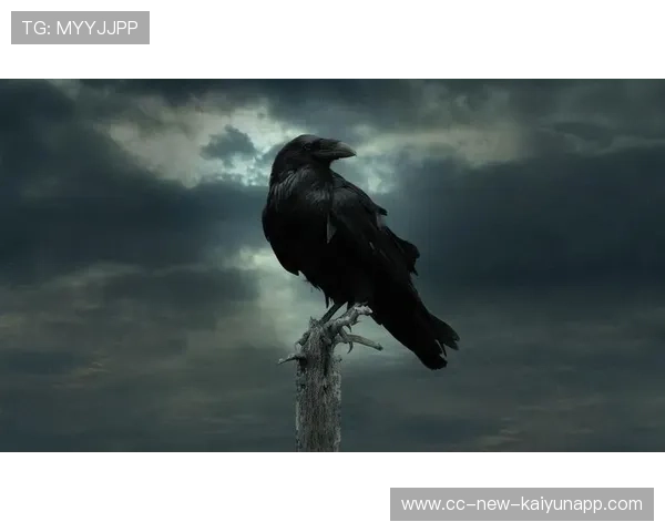 乌鸦主帅强调团队合作，胜利来自信任，乌鸦吧主